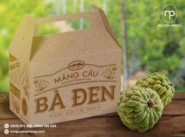 mẫu túi giấy kraft đựng trà mãng cầu